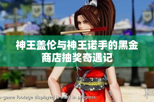 神王盖伦与神王诺手的黑金商店抽奖奇遇记