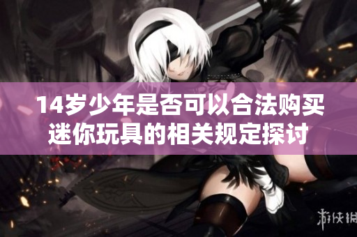 14岁少年是否可以合法购买迷你玩具的相关规定探讨