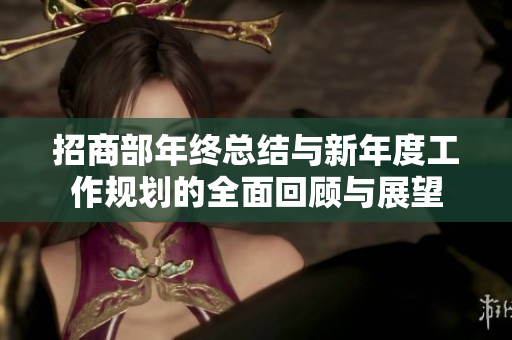 招商部年终总结与新年度工作规划的全面回顾与展望