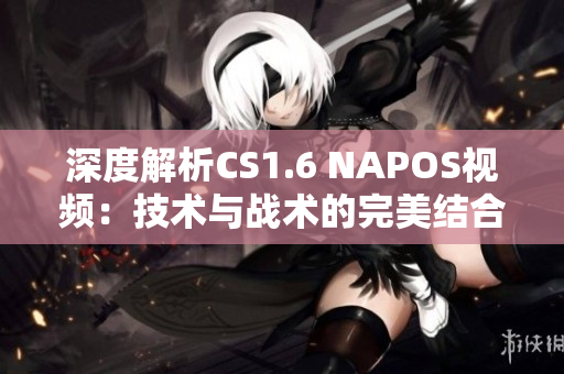 深度解析CS1.6 NAPOS视频：技术与战术的完美结合