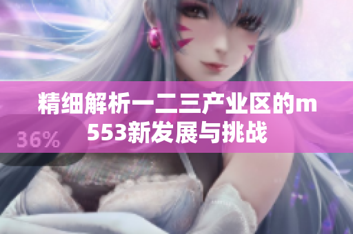 精细解析一二三产业区的m553新发展与挑战