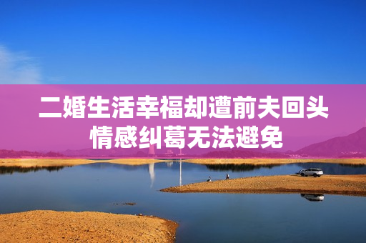 二婚生活幸福却遭前夫回头 情感纠葛无法避免