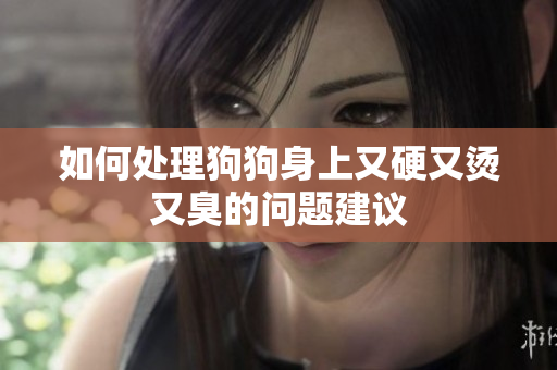 如何处理狗狗身上又硬又烫又臭的问题建议