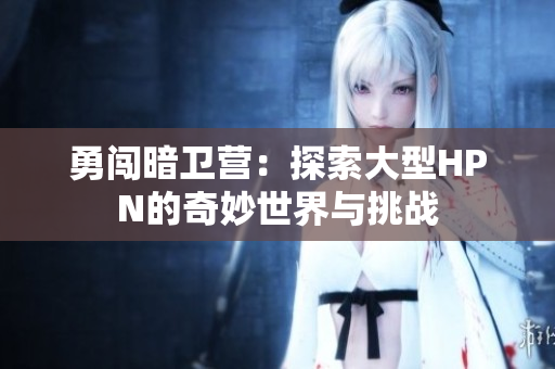 勇闯暗卫营：探索大型HPN的奇妙世界与挑战