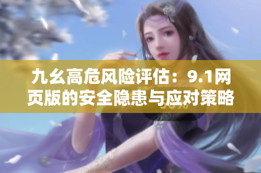 九幺高危风险评估：9.1网页版的安全隐患与应对策略