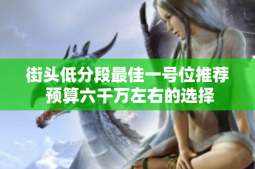 街头低分段最佳一号位推荐 预算六千万左右的选择