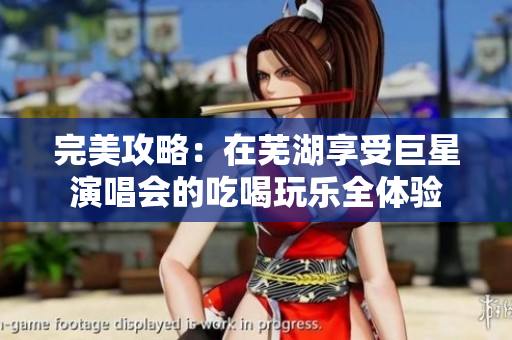 完美攻略：在芜湖享受巨星演唱会的吃喝玩乐全体验