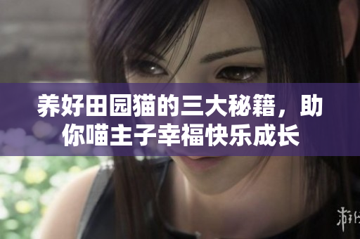 养好田园猫的三大秘籍，助你喵主子幸福快乐成长