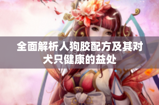 全面解析人狗胶配方及其对犬只健康的益处