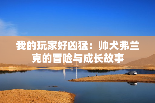 我的玩家好凶猛：帅犬弗兰克的冒险与成长故事
