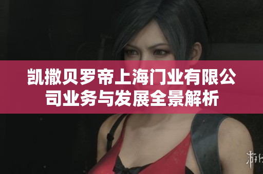 凯撒贝罗帝上海门业有限公司业务与发展全景解析