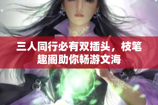 三人同行必有双插头，枝笔趣阁助你畅游文海