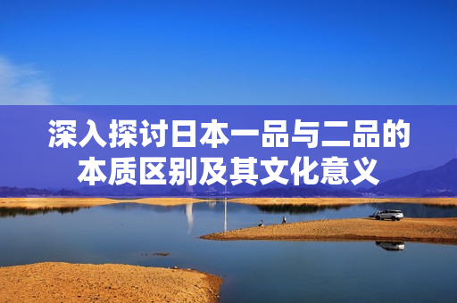 深入探讨日本一品与二品的本质区别及其文化意义