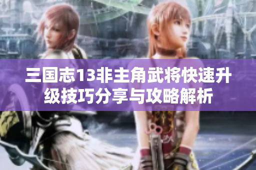 三国志13非主角武将快速升级技巧分享与攻略解析