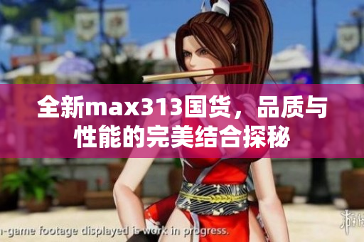 全新max313国货，品质与性能的完美结合探秘