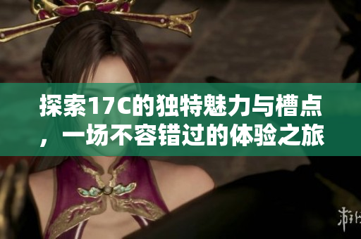 探索17C的独特魅力与槽点，一场不容错过的体验之旅