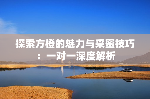 探索方橙的魅力与采蜜技巧：一对一深度解析