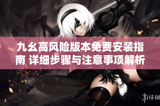 九幺高风险版本免费安装指南 详细步骤与注意事项解析