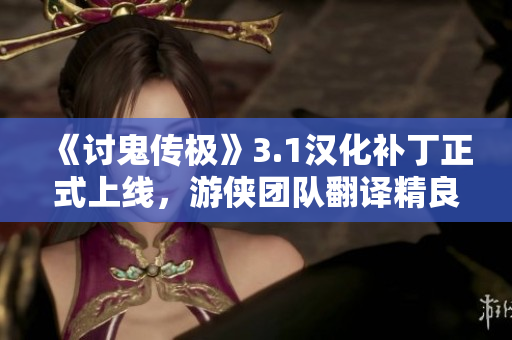 《讨鬼传极》3.1汉化补丁正式上线，游侠团队翻译精良
