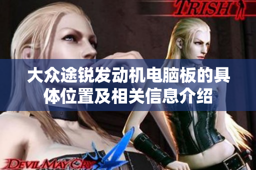 大众途锐发动机电脑板的具体位置及相关信息介绍