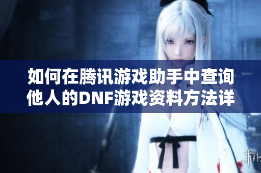 如何在腾讯游戏助手中查询他人的DNF游戏资料方法详解