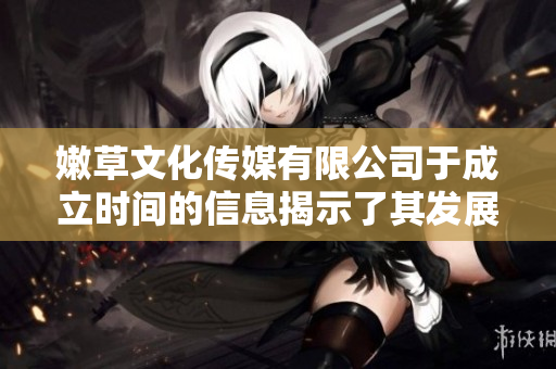 嫩草文化传媒有限公司于成立时间的信息揭示了其发展历程
