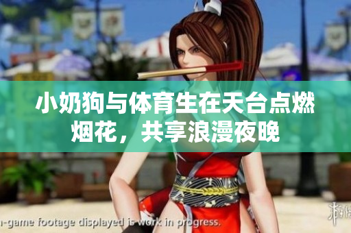 小奶狗与体育生在天台点燃烟花，共享浪漫夜晚