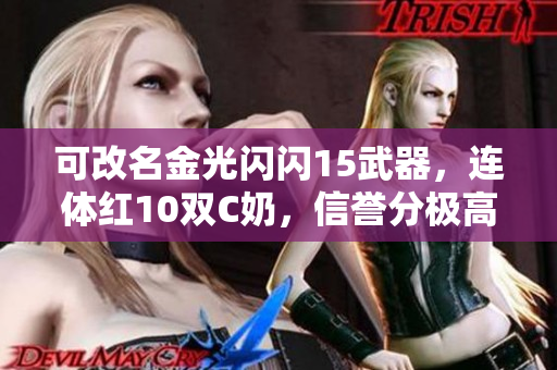 可改名金光闪闪15武器，连体红10双C奶，信誉分极高出售