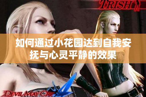 如何通过小花园达到自我安抚与心灵平静的效果