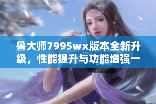 鲁大师7995wx版本全新升级，性能提升与功能增强一览