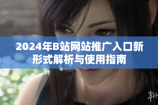 2024年B站网站推广入口新形式解析与使用指南