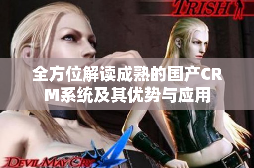 全方位解读成熟的国产CRM系统及其优势与应用
