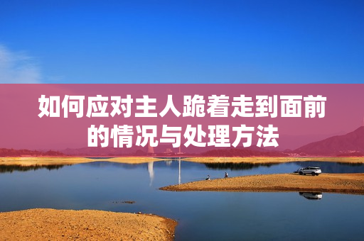 如何应对主人跪着走到面前的情况与处理方法