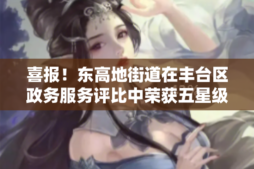 喜报！东高地街道在丰台区政务服务评比中荣获五星级称号