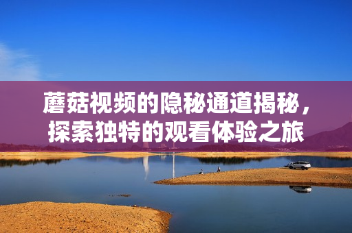 蘑菇视频的隐秘通道揭秘，探索独特的观看体验之旅