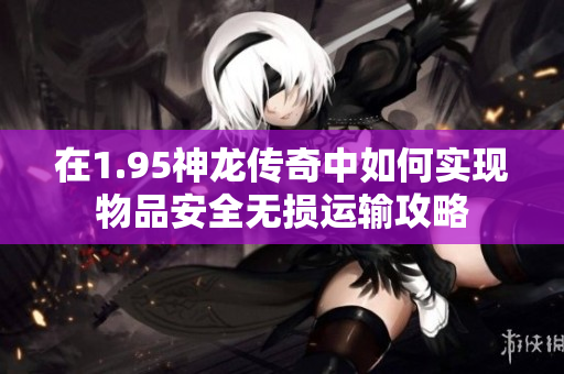 在1.95神龙传奇中如何实现物品安全无损运输攻略