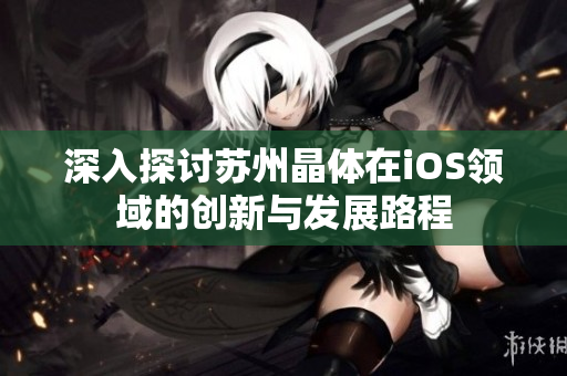 深入探讨苏州晶体在iOS领域的创新与发展路程