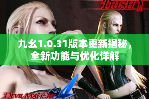 九幺1.0.31版本更新揭秘，全新功能与优化详解
