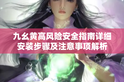 九幺黄高风险安全指南详细安装步骤及注意事项解析