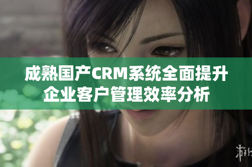 成熟国产CRM系统全面提升企业客户管理效率分析