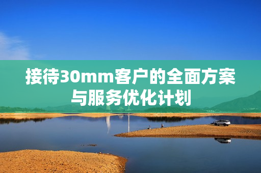 接待30mm客户的全面方案与服务优化计划