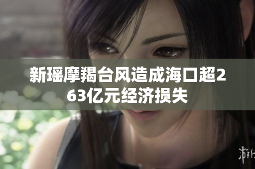 新瑶摩羯台风造成海口超263亿元经济损失