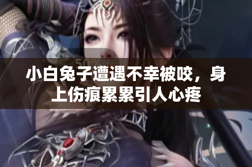 小白兔子遭遇不幸被咬，身上伤痕累累引人心疼