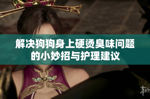 解决狗狗身上硬烫臭味问题的小妙招与护理建议
