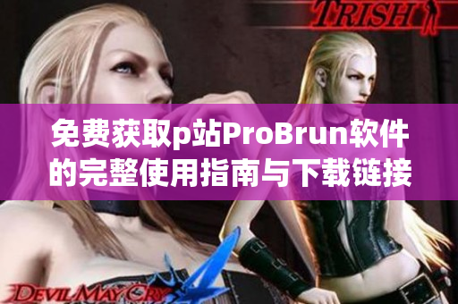 免费获取p站ProBrun软件的完整使用指南与下载链接