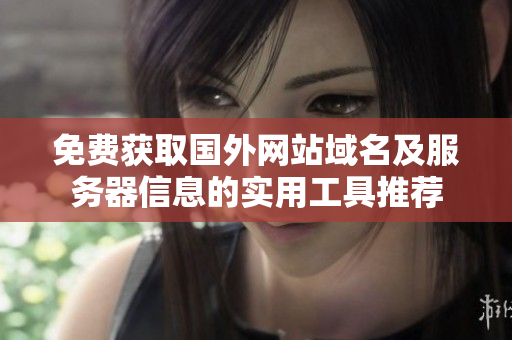 免费获取国外网站域名及服务器信息的实用工具推荐