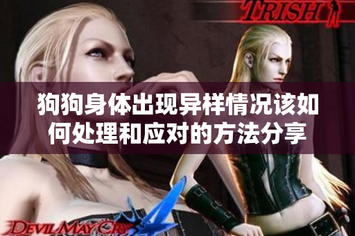 狗狗身体出现异样情况该如何处理和应对的方法分享