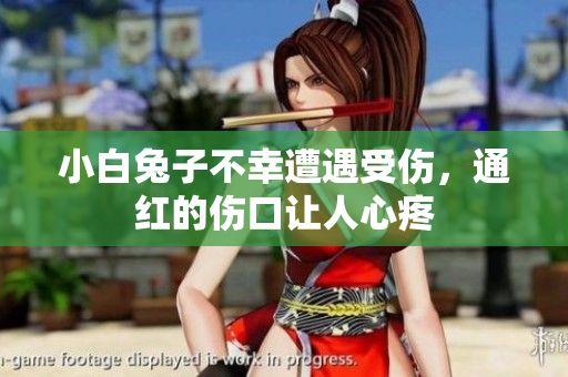 小白兔子不幸遭遇受伤，通红的伤口让人心疼