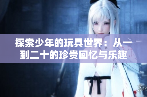 探索少年的玩具世界：从一到二十的珍贵回忆与乐趣