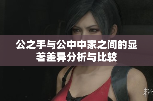 公之手与公中中家之间的显著差异分析与比较